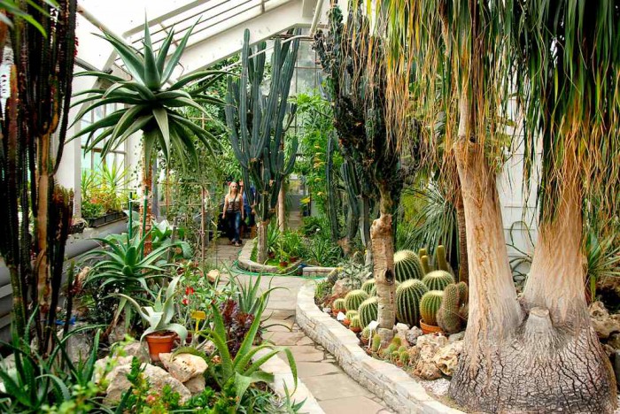 10-magicznych-miejsc-ogrod